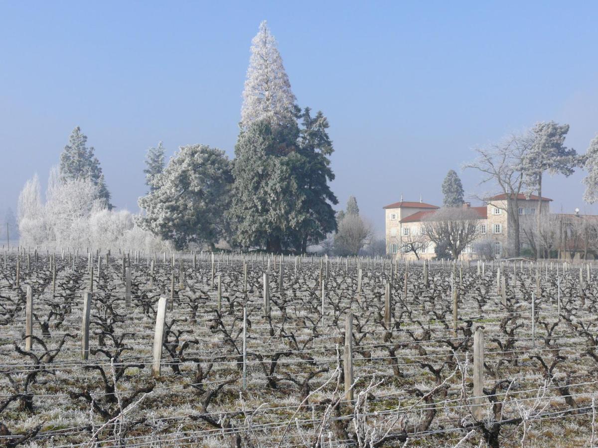 Chateau De Grandmont Chambres D'Hotes Blace Bagian luar foto